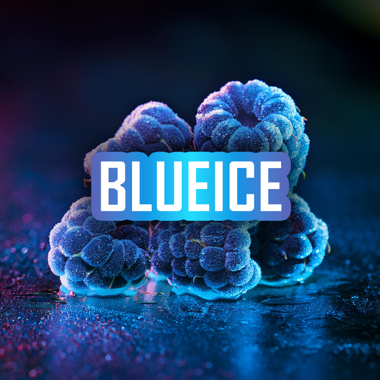 BLUE ICE SAMPLE